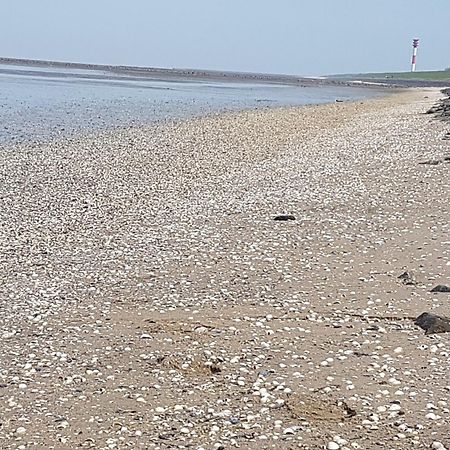 Haus Am Meer Eckwarden Butjadingen Esterno foto